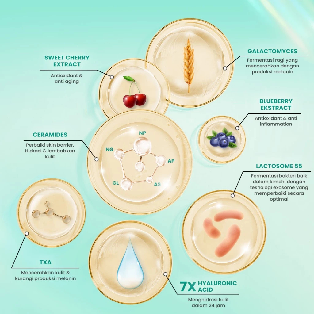 hanasui 10x ceramide probiotics peeling gel 100g / gel exfoliasi hanasui 10x ceramide probiotics peeling gel 100g / gel exfoliasi